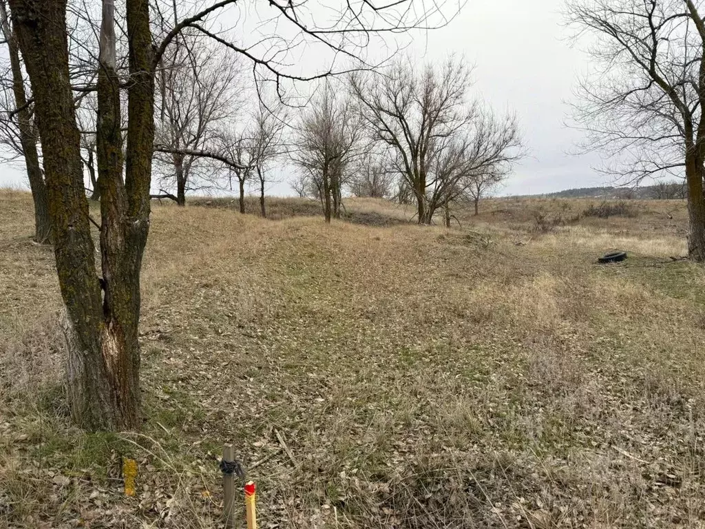 Участок в Волгоградская область, Городищенский район, Царицынское ... - Фото 1