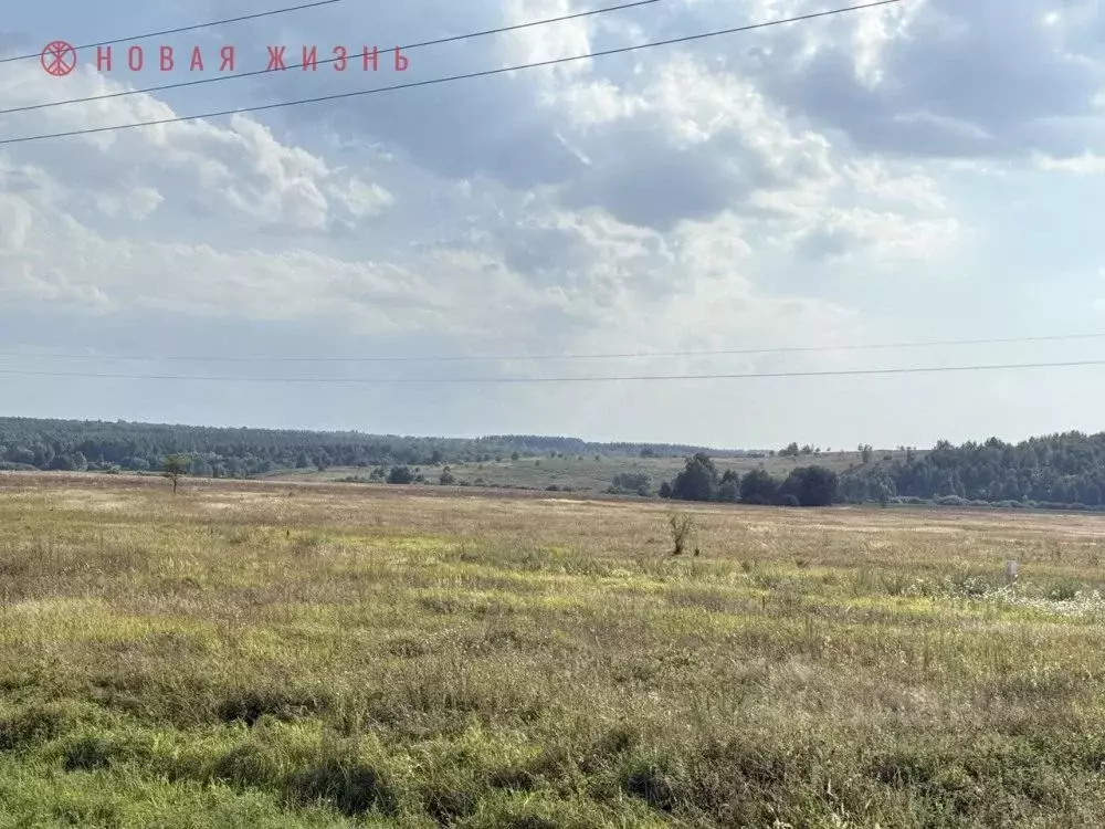 Участок в Самарская область, Красноярский район, Светлое Поле с/пос, ... - Фото 1