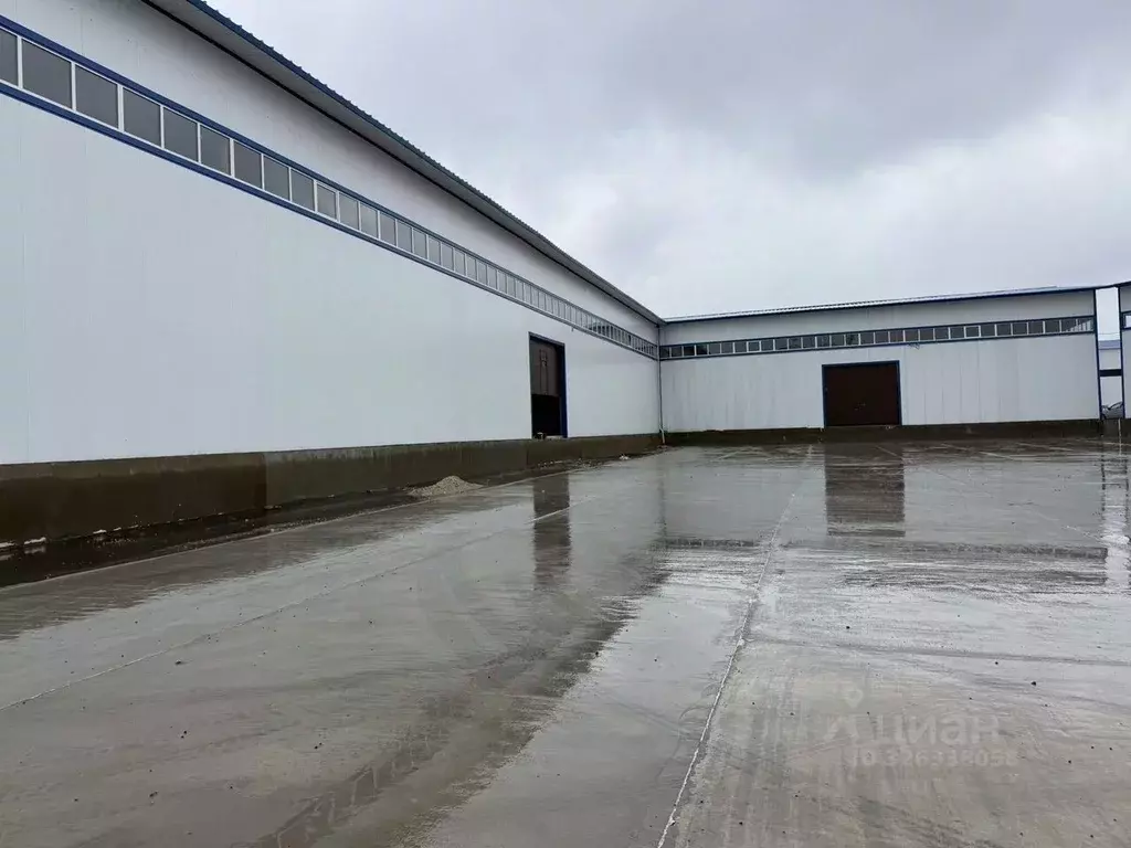 Склад в Брянская область, Брянский район, Супоневское с/пос, с. ... - Фото 1