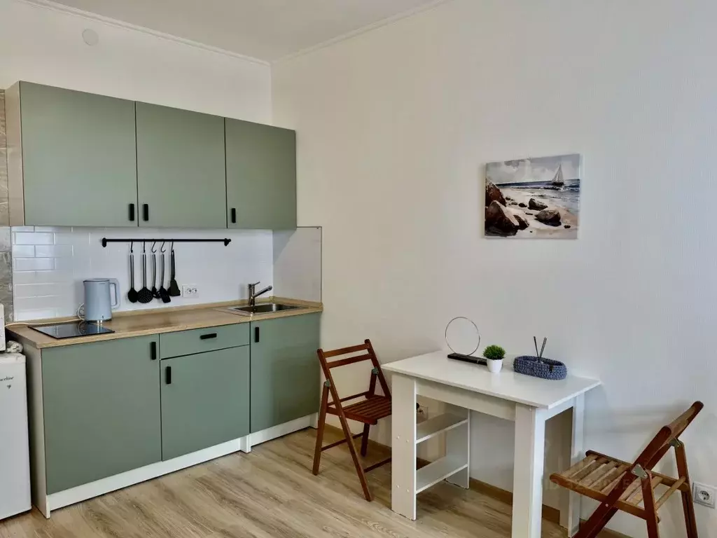 Студия Санкт-Петербург ул. Плесецкая, 10 (24.0 м) - Фото 2