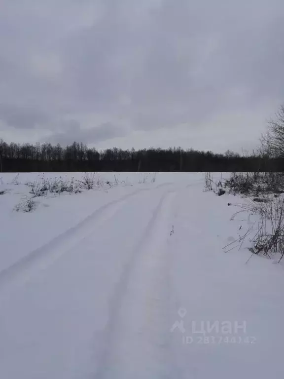 Участок в Тульская область, Веневский район, д. Чусово  (50.0 сот.) - Фото 1