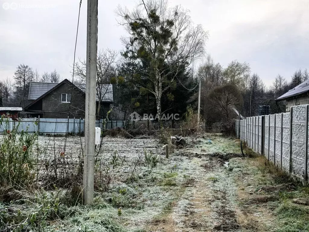 Участок в Калининград, СНТ Весна (12 м) - Фото 1