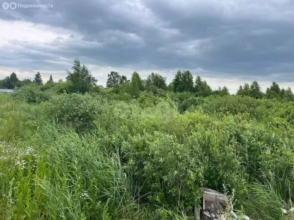 Участок в Тюмень, СНТ Ягодное, Заречная улица (12.55 м) - Фото 1