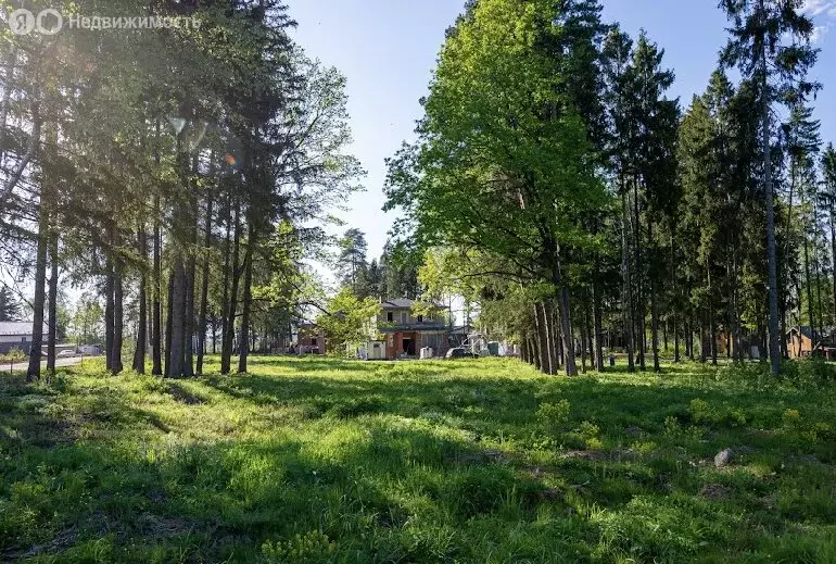 Участок в Химки, КП Сходня форест парк (6.45 м) - Фото 1