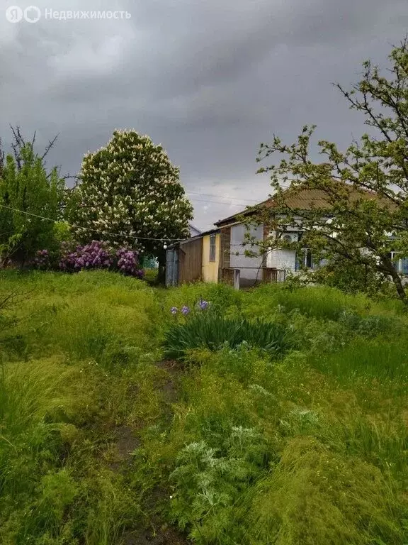 Дом в станица Нижний Чир, Зелёная улица (34 м) - Фото 2