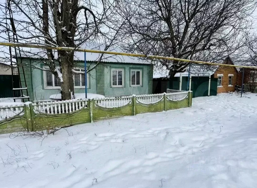 Дом в Белгородская область, Яковлевский муниципальный округ, Томаровка ... - Фото 1