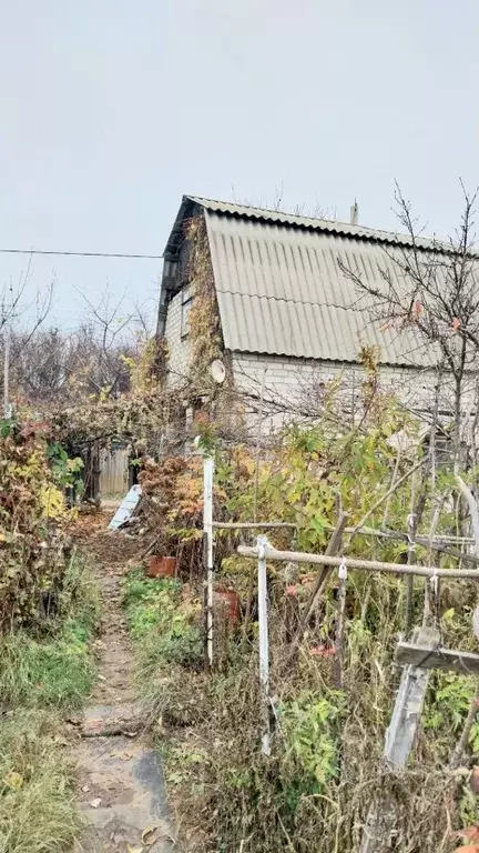 Дом в Волгоградская область, Волжский Досуг СНТ, ул. Каштановая (45 м) - Фото 1