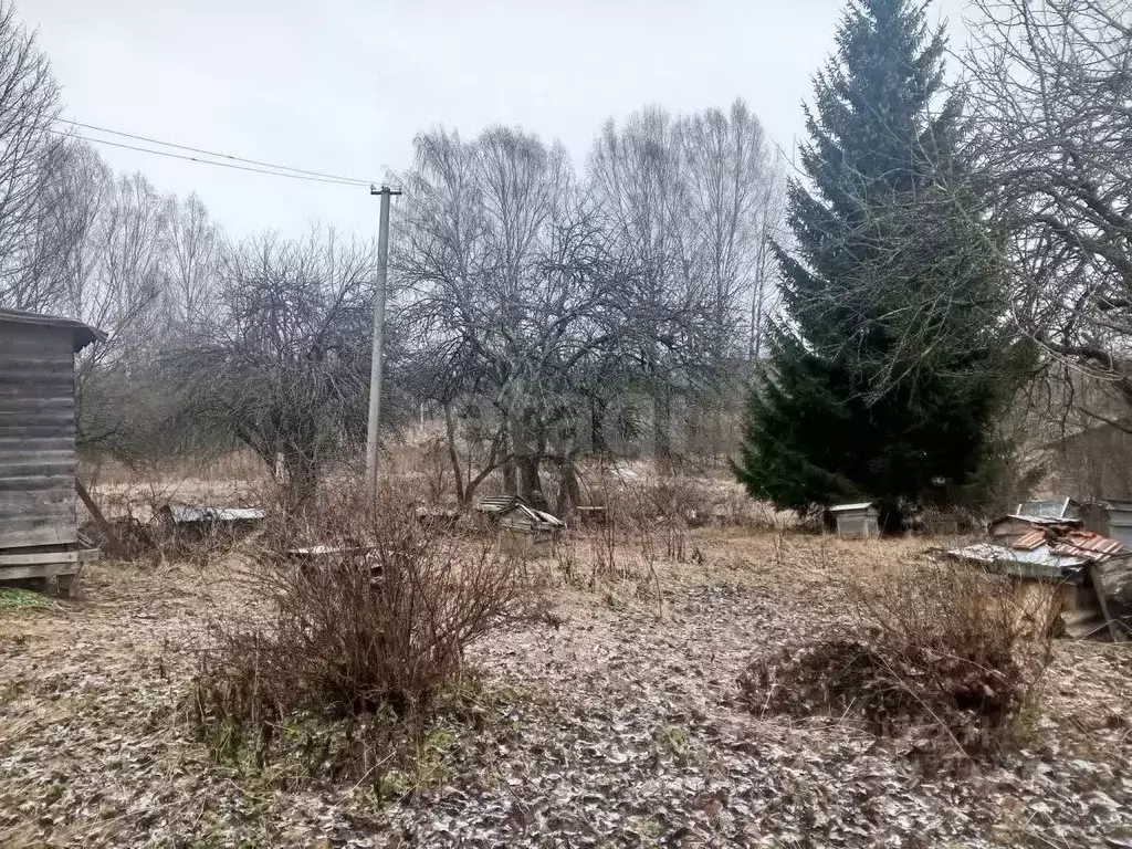 Дом в Псковская область, Опочецкий муниципальный округ, д. Роги 1 (42 ... - Фото 1