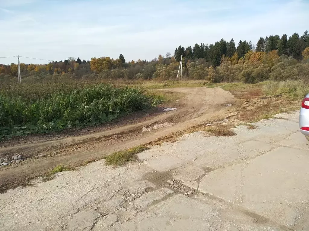 Участок в Калужская область, Жуковский муниципальный округ, Чубарово ... - Фото 1