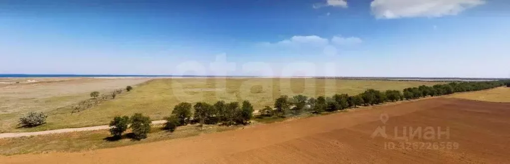 Участок в Крым, Раздольненский район, Чернышевское с/пос, с. Чернышево ... - Фото 1