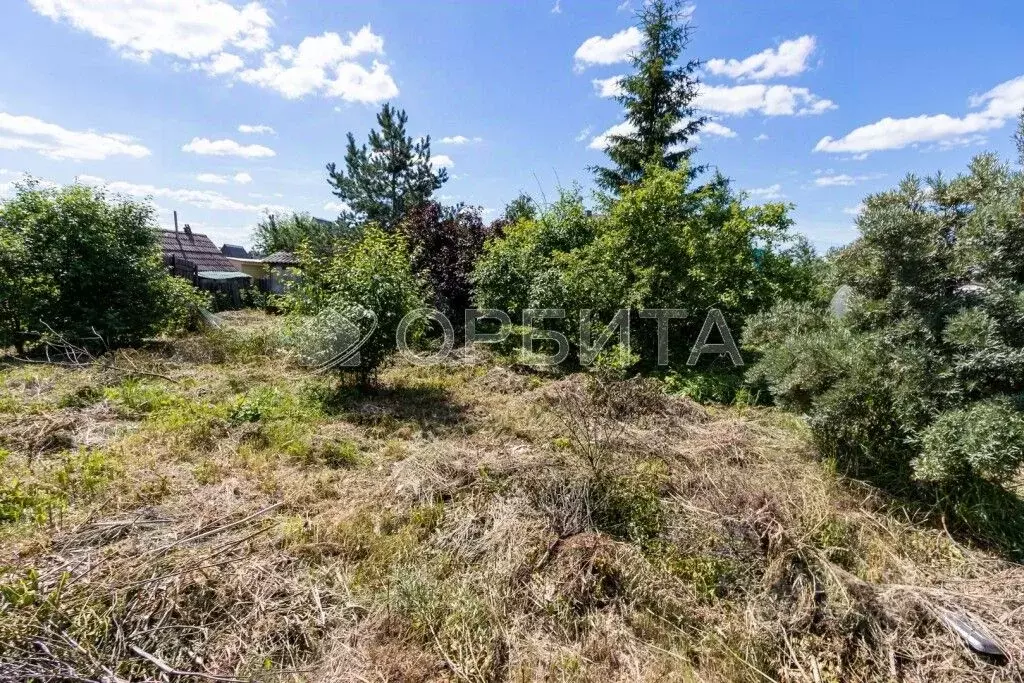 Участок в Тюменская область, Тюмень СОСН Лесная Поляна тер., ул. ... - Фото 1