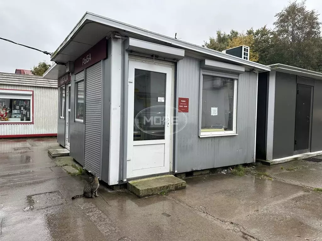 Торговая площадь в Калининградская область, Светлогорск Пионерская ... - Фото 0