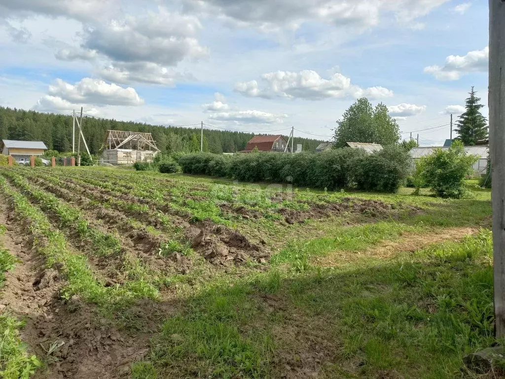 Участок в Свердловская область, Горноуральский городской округ, с. ... - Фото 1