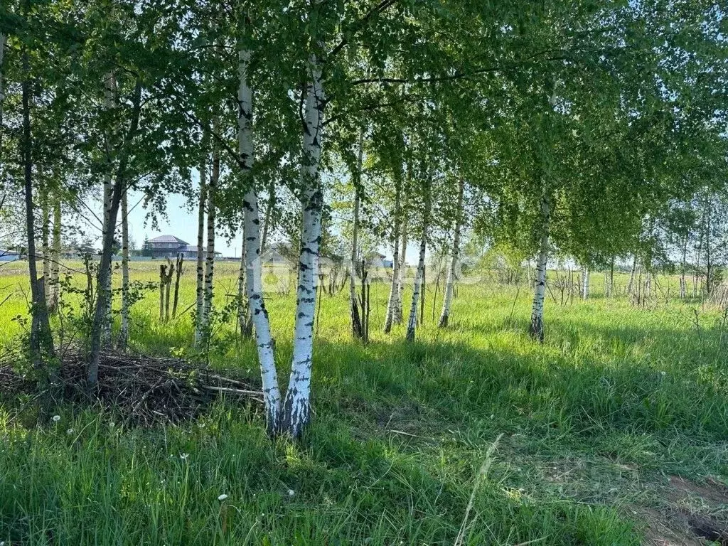 Участок в Владимирская область, Александровский район, ... - Фото 0