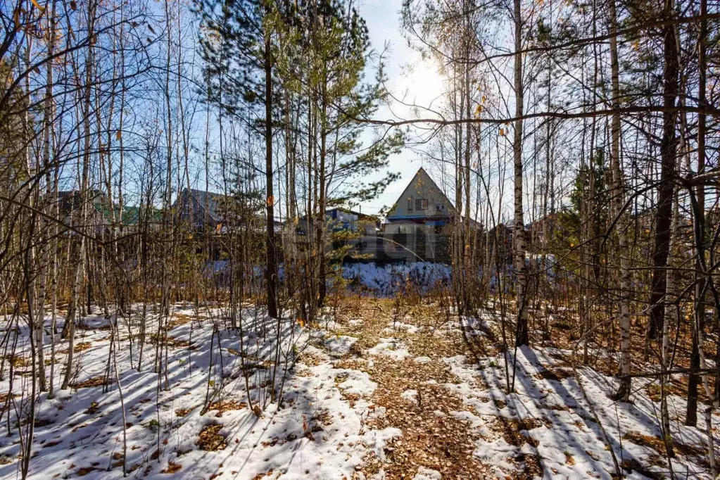 Участок в Тюменская область, Тюменский район, с. Перевалово Сиреневая ... - Фото 0