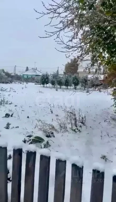 Участок в Новосибирская область, Новосибирский район, Морской ... - Фото 0