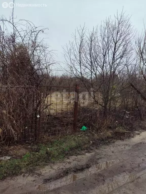 Участок в Воронеж, СНТ Домостроитель-1 (6 м) - Фото 1