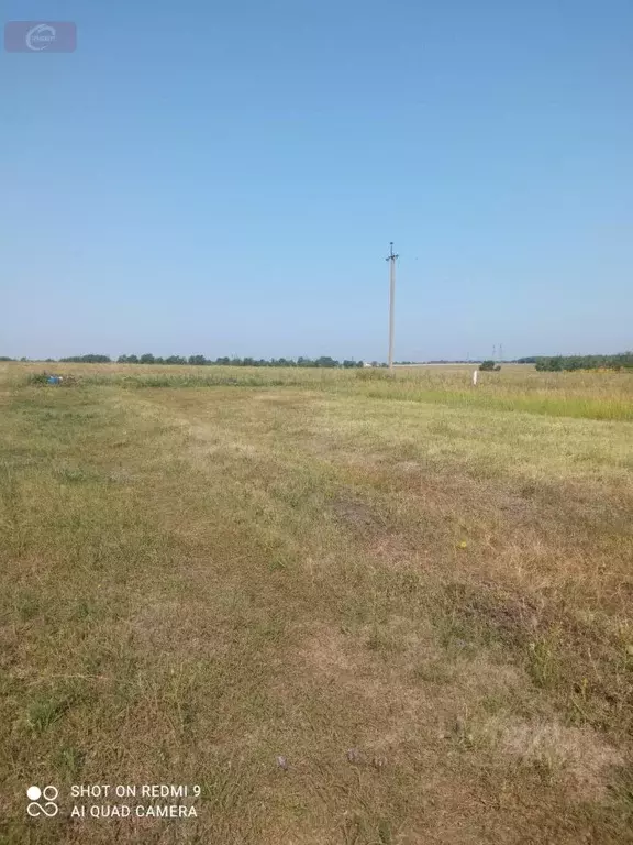 Участок в Воронежская область, Новоусманский район, с. Орлово ... - Фото 1