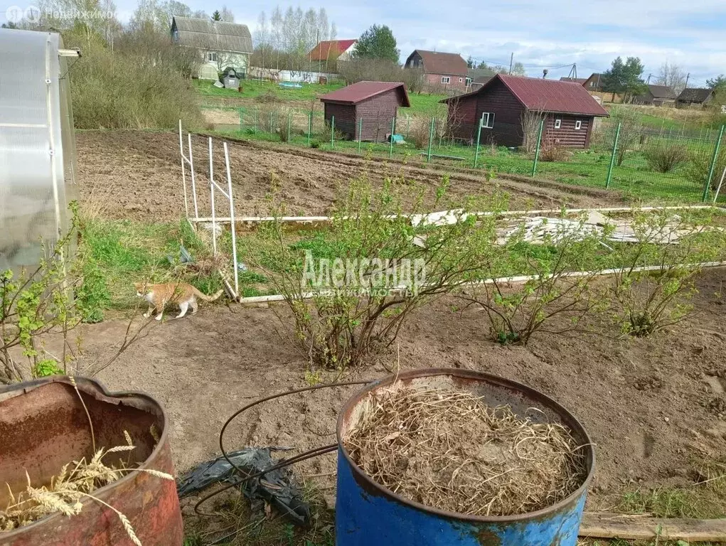 Участок в Волховский район, Колчановское сельское поселение, село ... - Фото 1