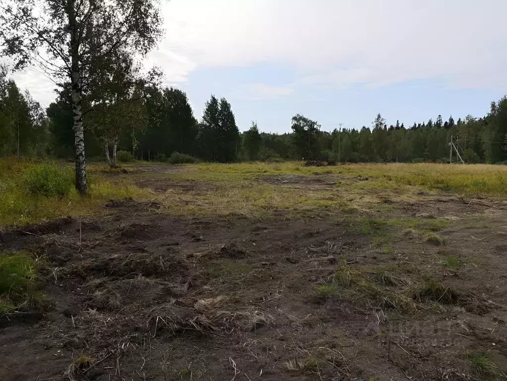 Участок в Ленинградская область, Выборгский район, Советское городское ... - Фото 1