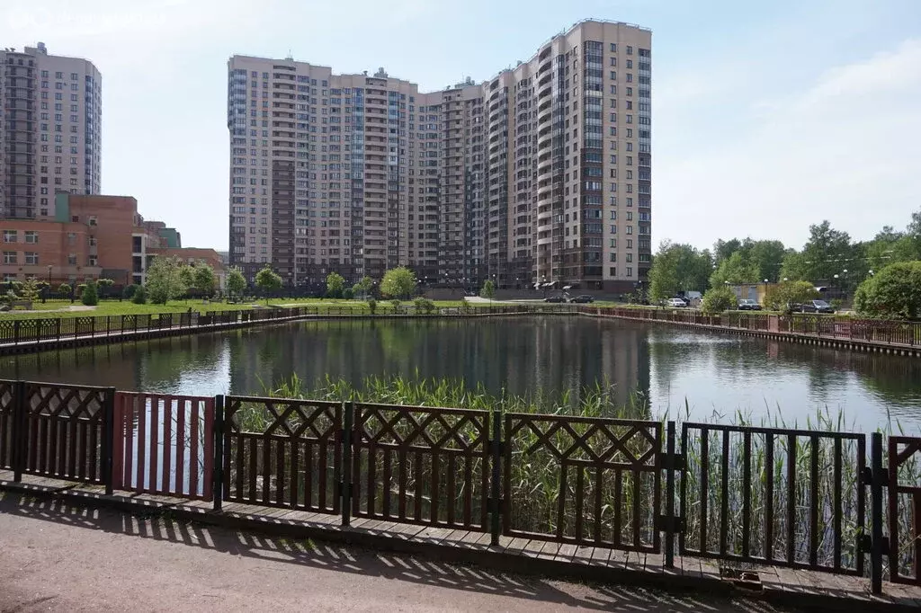Квартира-студия: Санкт-Петербург, улица Бутлерова, 9к2 (25.7 м) - Фото 1