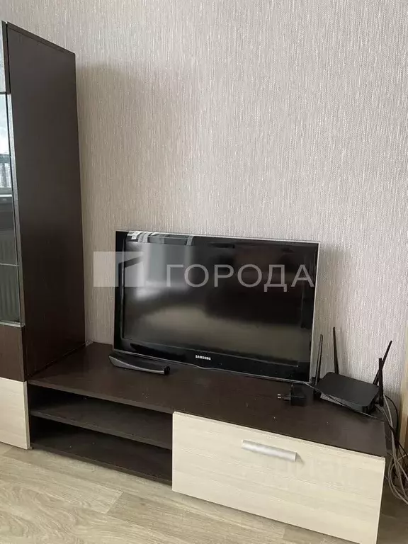 Студия Новосибирская область, Новосибирский район, Станционный ... - Фото 1