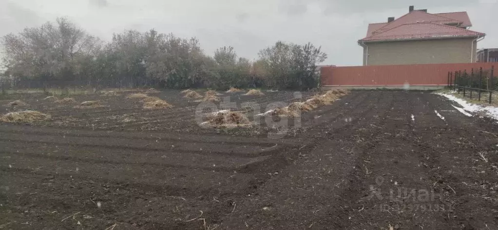 Участок в Новосибирская область, Новосибирский район, Морской ... - Фото 2