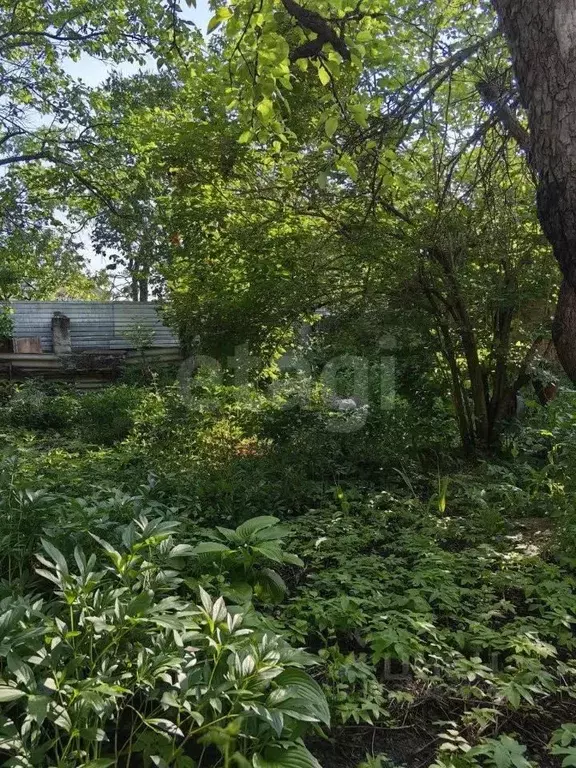 Участок в Ставропольский край, Кисловодск ул. Калинина (13.0 сот.) - Фото 2