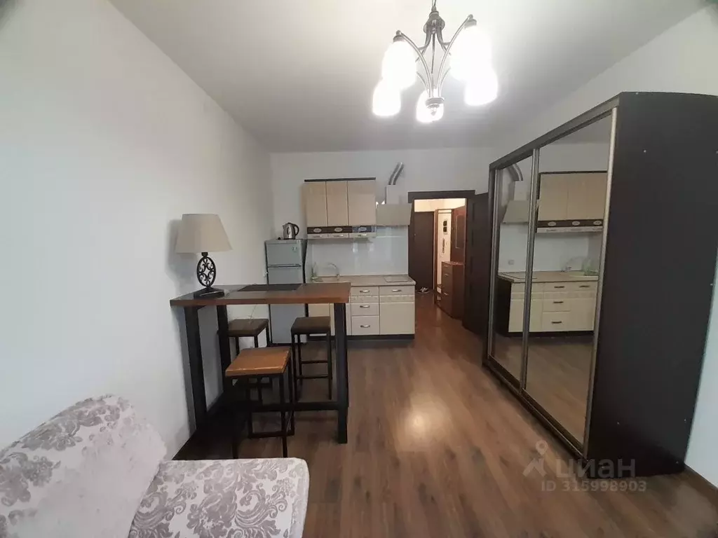 Студия Санкт-Петербург Пулковское ш., 71к3 (27.0 м) - Фото 0