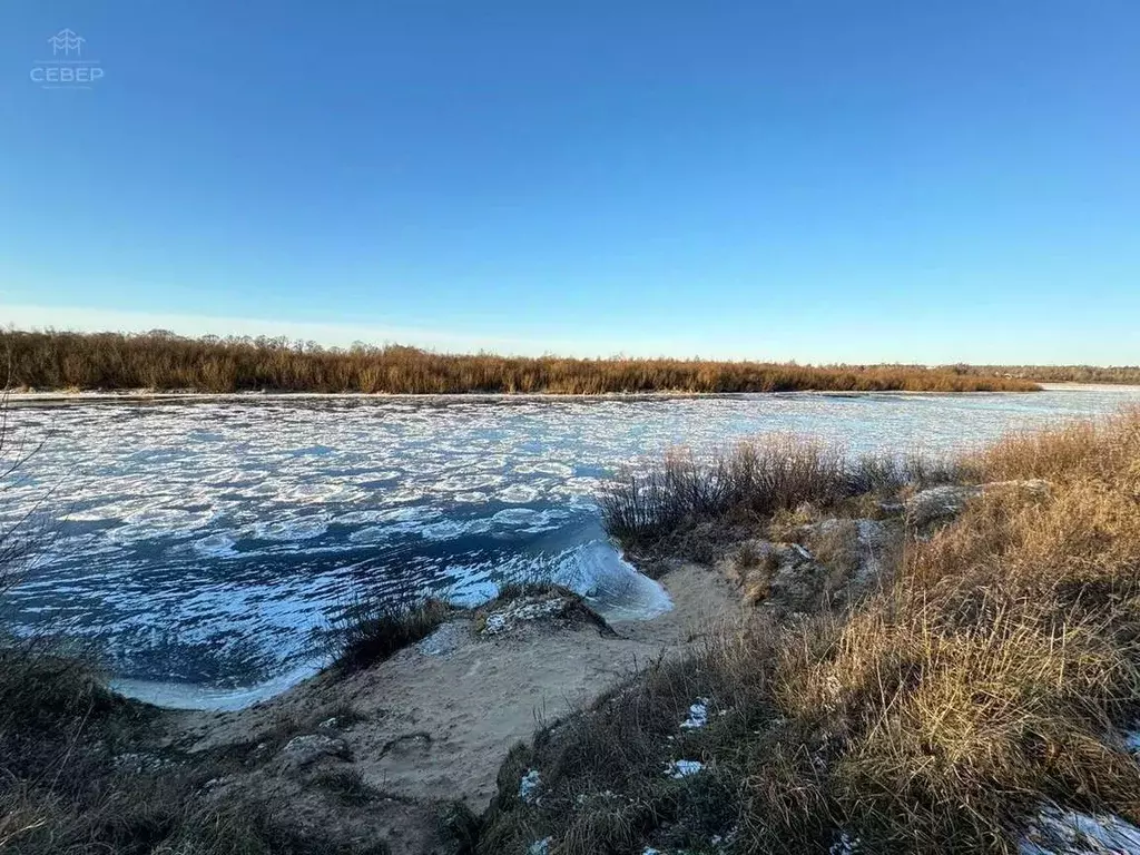 Участок в Новгородская область, Новгородский район, Бронницкое с/пос, ... - Фото 1