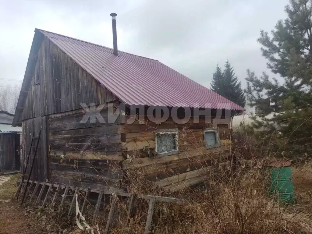 Дом в Алтайский край, Курьинский район, Колыванский сельсовет, с. ... - Фото 1