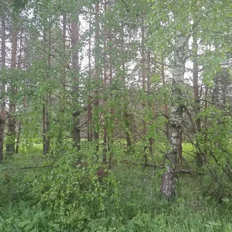 Участок в Московская область, Егорьевск муниципальный округ, д. ... - Фото 1