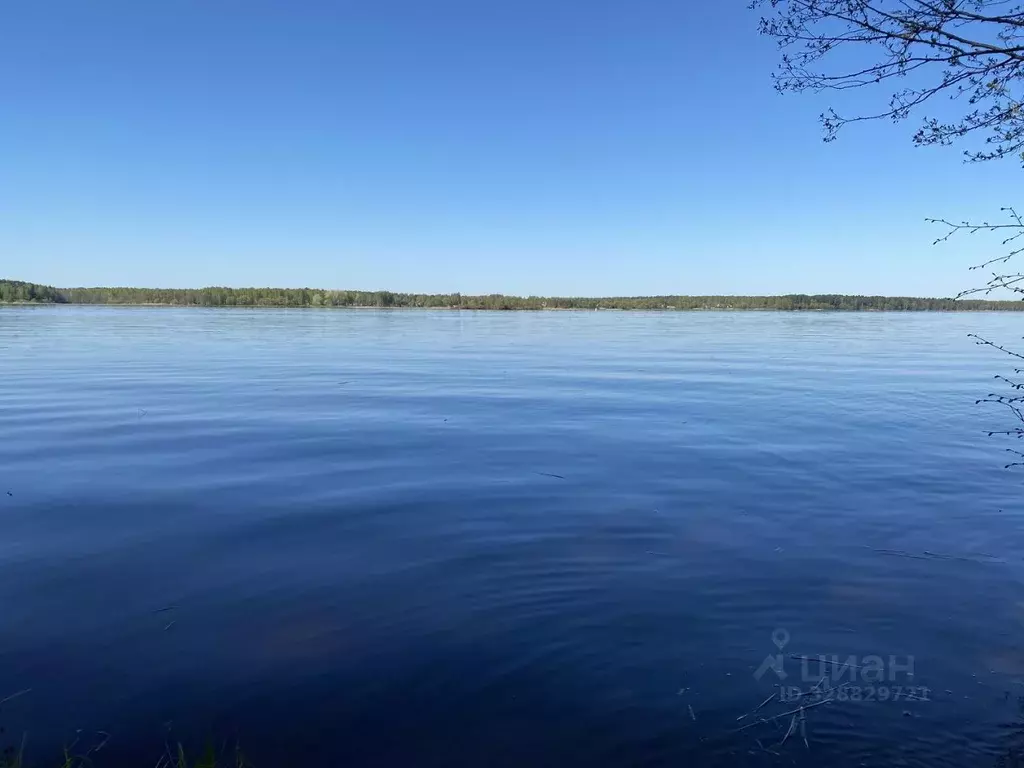 Дом в Тверская область, Конаково ул. Крутые берега (425 м) - Фото 2
