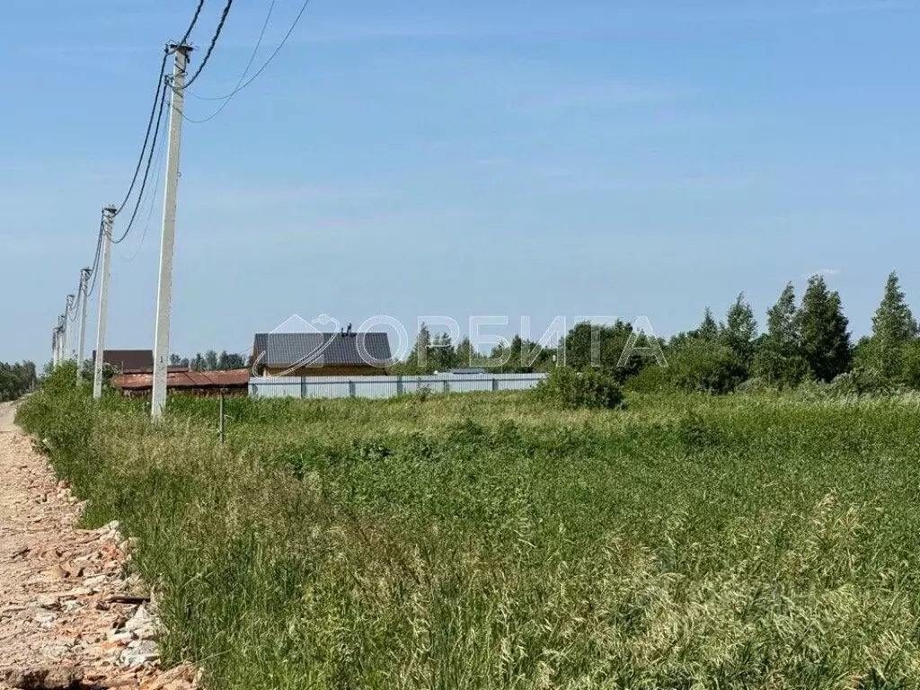 Участок в Тюменская область, Тюмень Большое Царево-1 СНТ,  (9.7 сот.) - Фото 1