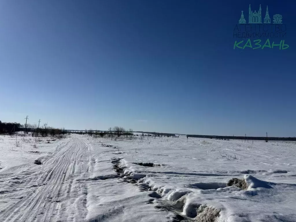 Участок в Татарстан, Лаишевский район, Чирповское с/пос, с. Чирпы  ... - Фото 2