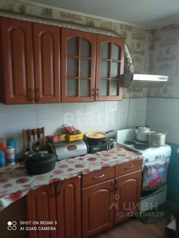 1-к кв. Амурская область, Благовещенский район, с. Михайловка ... - Фото 1