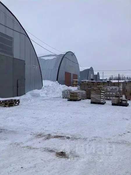 Склад в Московская область, Раменский городской округ, пос. Ганусово  ... - Фото 1