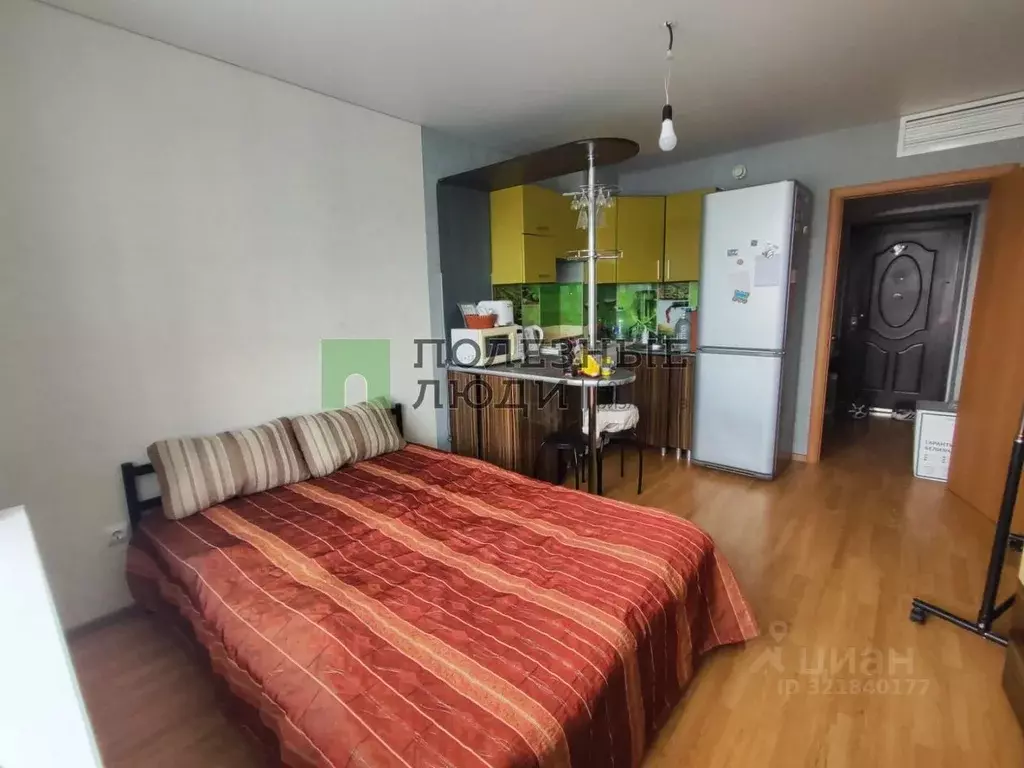 Студия Курганская область, Курган ул. Пичугина, 6 (19.73 м) - Фото 1