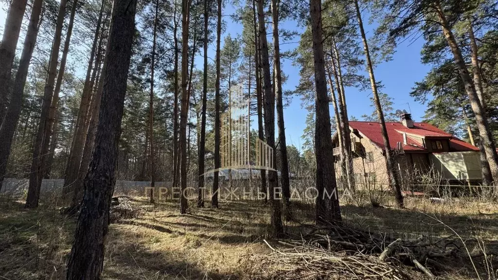 Участок в Новосибирская область, Новосибирск Заповедная ул. (12.0 ... - Фото 2