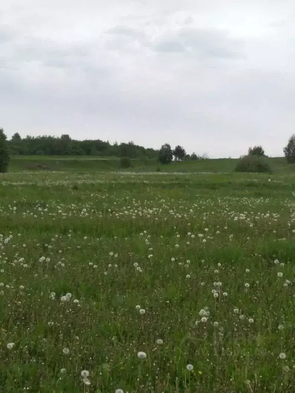 Участок в Ярославская область, Переславль-Залесский городской округ, ... - Фото 0