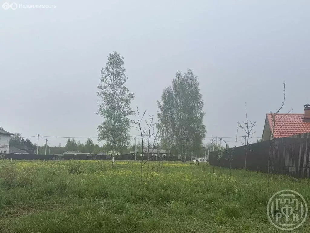Участок в Заклинское сельское поселение, деревня Турово (19 м) - Фото 2