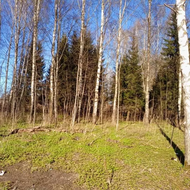 Участок в Тверская область, Калининский муниципальный округ, пос. ... - Фото 2