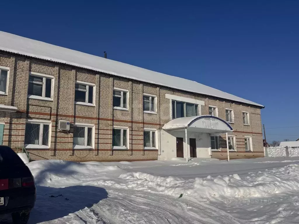 Помещение свободного назначения в Мордовия, с. Кочкурово ул. В.Д. ... - Фото 2