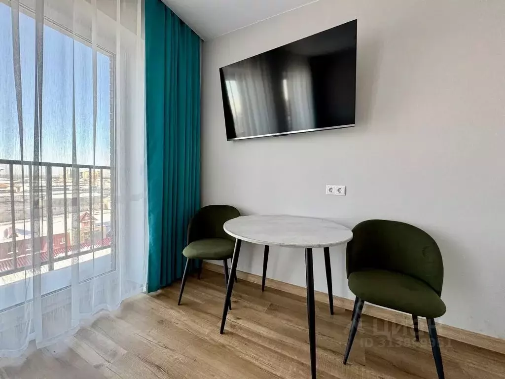Студия Новосибирская область, Новосибирск ул. Ленина, 85 (24.0 м) - Фото 1
