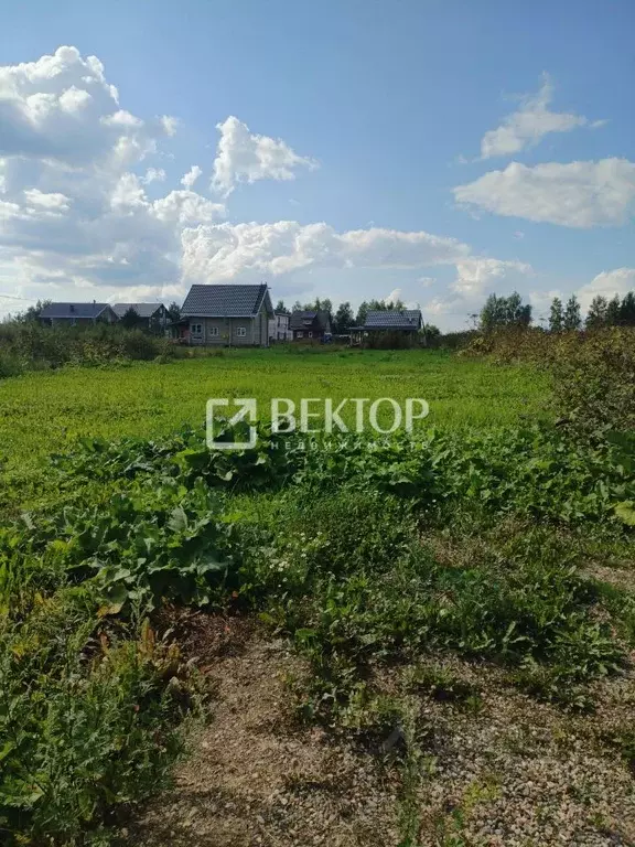 Участок в Ярославская область, Ярославский муниципальный округ, ... - Фото 2