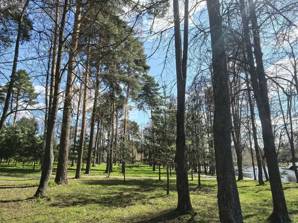 Продается участок в г. Видное - Фото 1