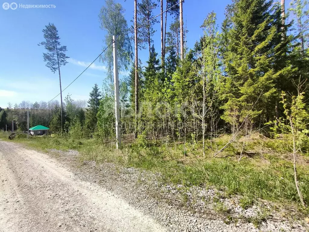 Участок в Березники, Быстрая улица, 11 (14.11 м) - Фото 1