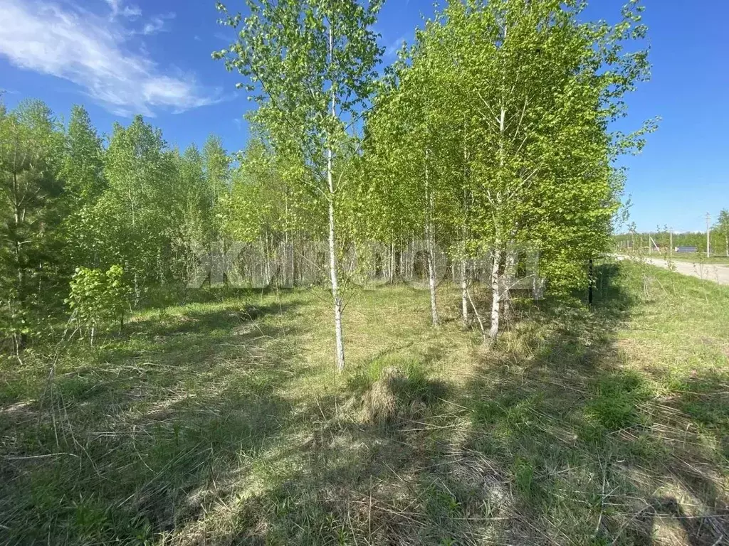 Участок в Новосибирская область, Мошковский район, Индия кп, ... - Фото 1