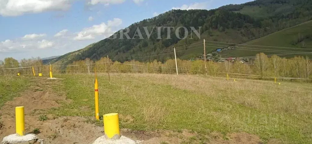 Участок в Алтай, Майминский район, с. Бирюля ул. Луговая, 68 (12.0 ... - Фото 0