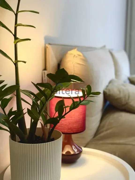 1-к кв. Татарстан, Казань проезд Созидателей, 7 (35.0 м) - Фото 1